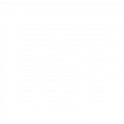 Logo Biscontin e Marcon srl
